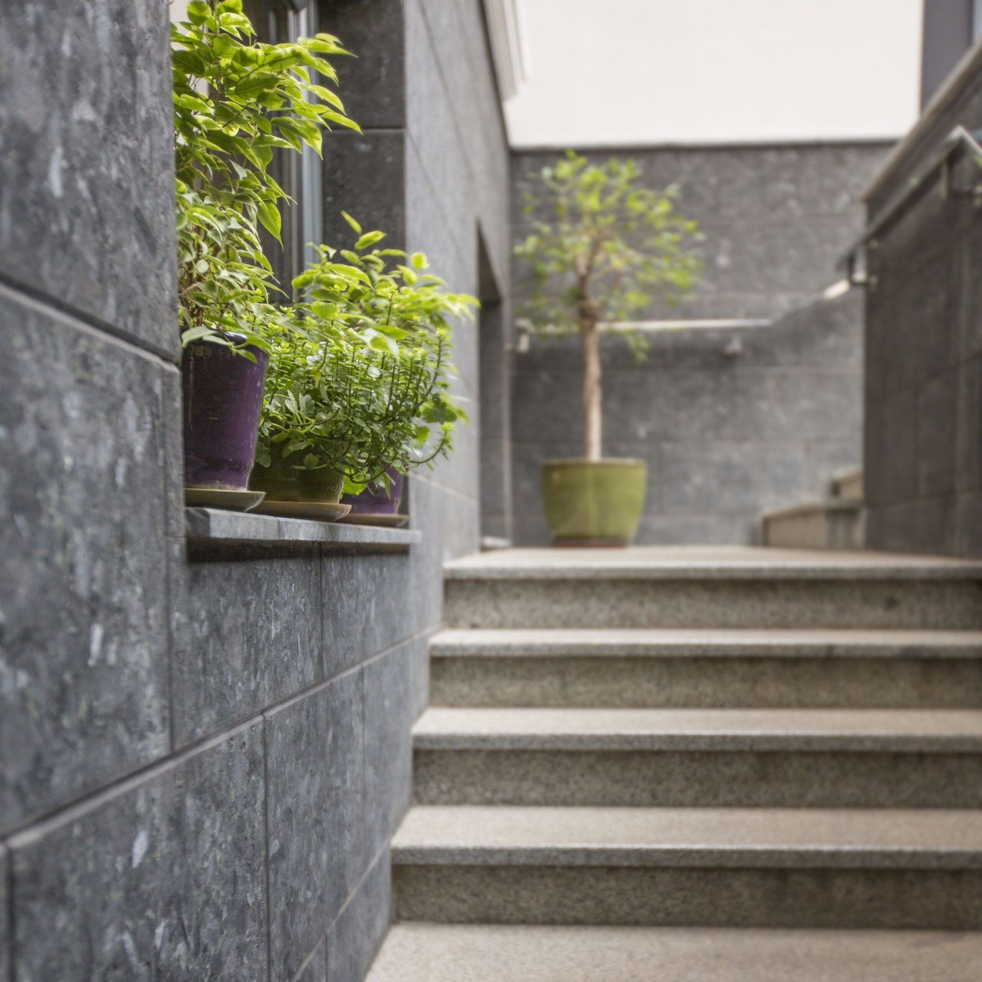 fachada de piedra artificial con plantas y una escalera